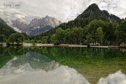 _DSC5528_log.jpg